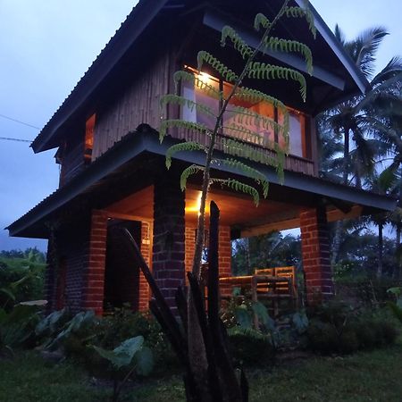 Coconut Homestay Tetebatu Eksteriør billede