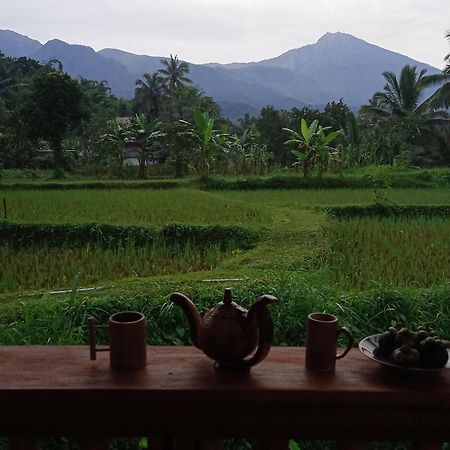 Coconut Homestay Tetebatu Eksteriør billede