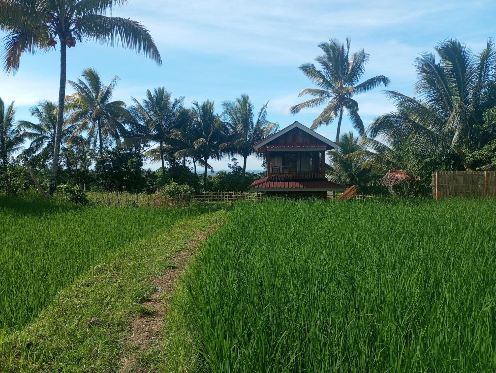 Coconut Homestay Tetebatu Eksteriør billede